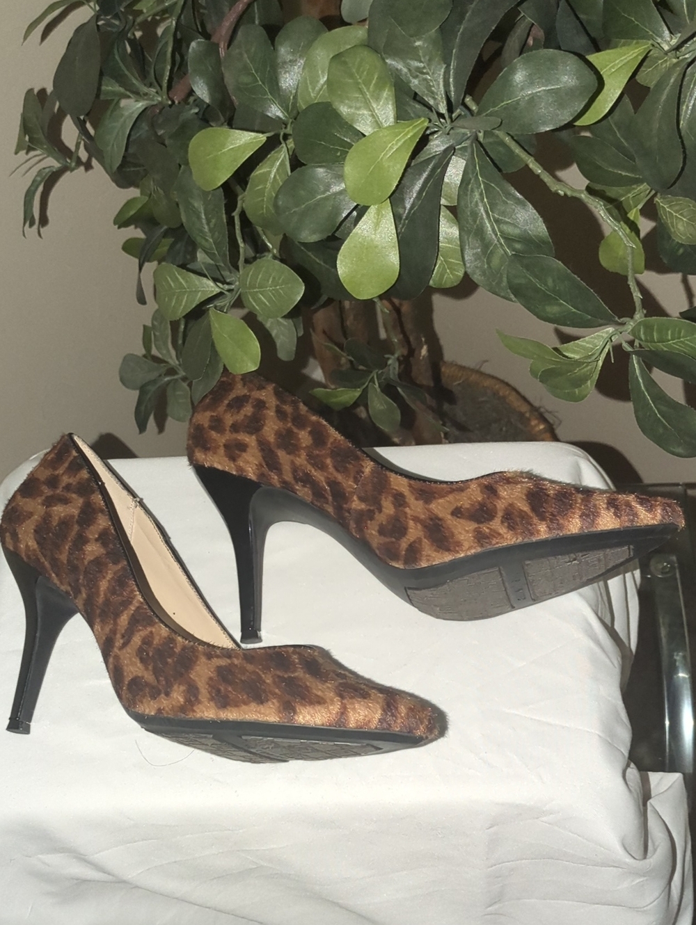 The Limited Leopard Print Pointed-Toe Pumps